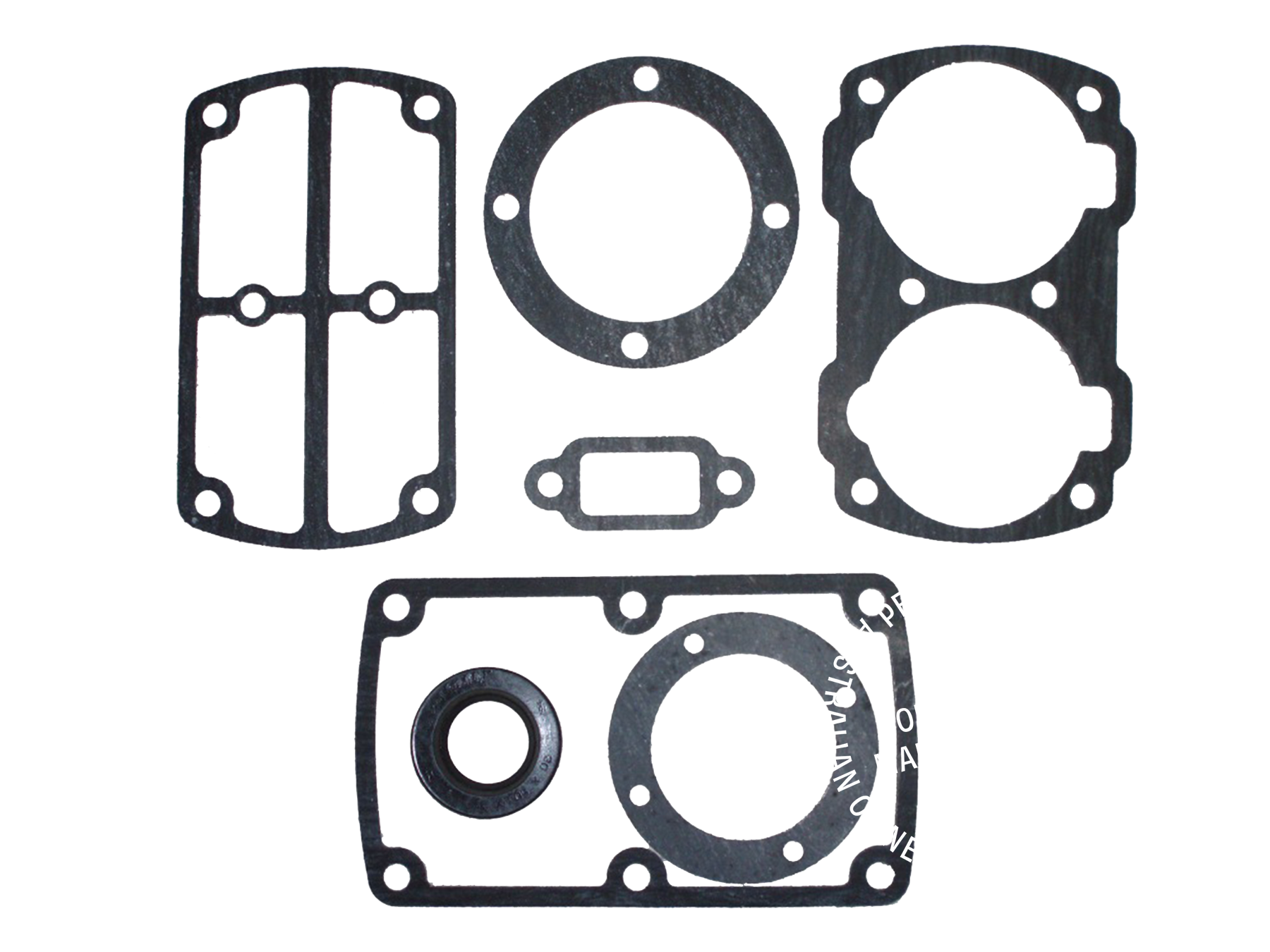 002889 Complete Gasket and Seal Kit for C5 (New Style) Pump (New St