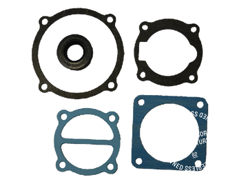 00290-11 Complete Gasket and Seal Kit: Per Cylinder - for 2060V Pump