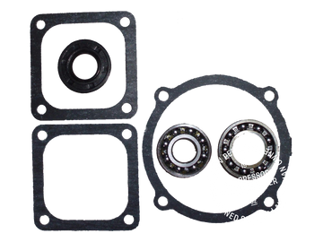 00290-3 Bottom End Kit with Gaskets and Bearings - for 2060V Pump